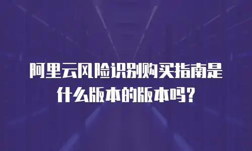 阿里云风险识别购买指南是什么版本的版本吗？