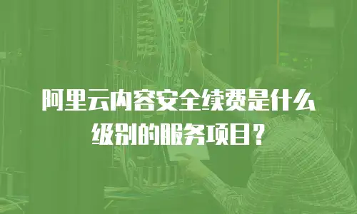 阿里云内容安全续费是什么级别的服务项目？