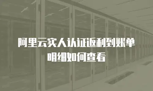 阿里云实人认证返利到账单明细如何查看