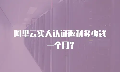 阿里云实人认证返利多少钱一个月？