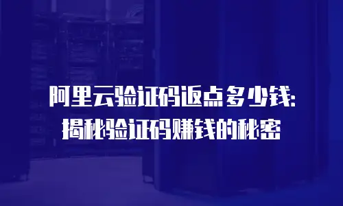阿里云验证码返点多少钱：揭秘验证码赚钱的秘密