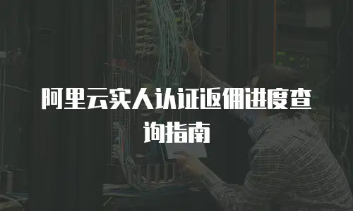 阿里云实人认证返佣进度查询指南