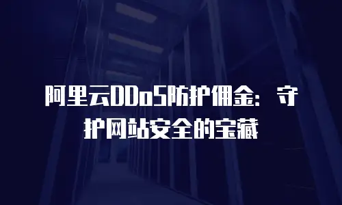 阿里云DDoS防护佣金：守护网站安全的宝藏
