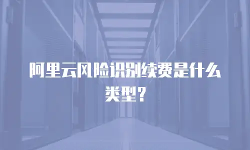 阿里云风险识别续费是什么类型？