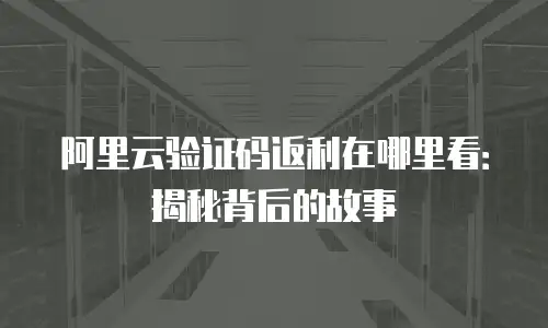 阿里云验证码返利在哪里看：揭秘背后的故事