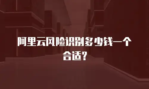 阿里云风险识别多少钱一个合适？