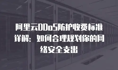 阿里云DDoS防护收费标准详解：如何合理规划你的网络安全支出