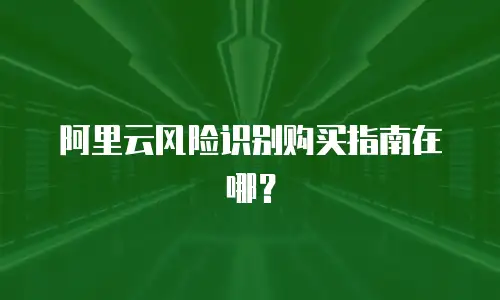 阿里云风险识别购买指南在哪？