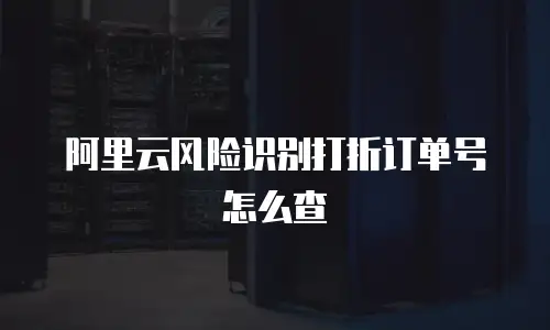 阿里云风险识别打折订单号怎么查