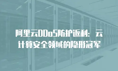 阿里云DDoS防护返利：云计算安全领域的隐形冠军