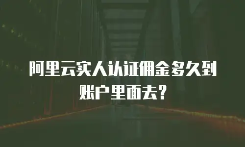 阿里云实人认证佣金多久到账户里面去？