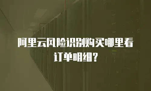 阿里云风险识别购买哪里看订单明细？