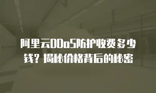 阿里云DDoS防护收费多少钱？揭秘价格背后的秘密