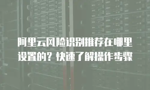 阿里云风险识别推荐在哪里设置的？快速了解操作步骤