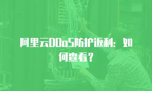 阿里云DDoS防护返利：如何查看？