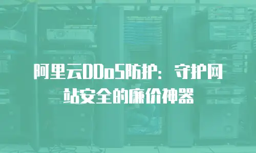 阿里云DDoS防护：守护网站安全的廉价神器