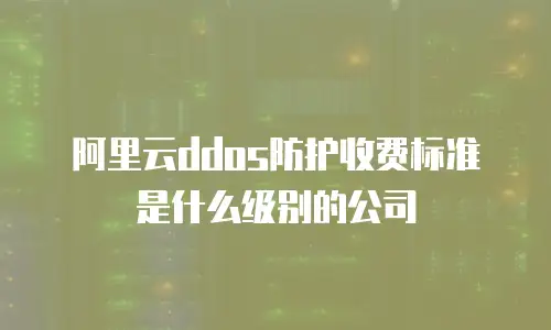 阿里云ddos防护收费标准是什么级别的公司