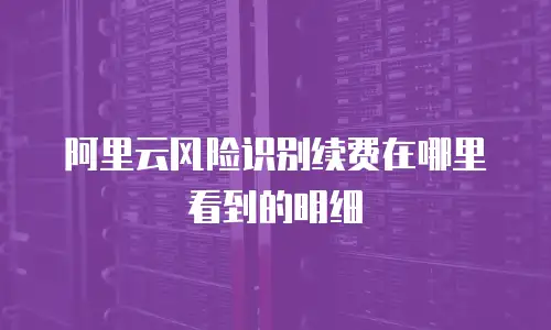 阿里云风险识别续费在哪里看到的明细