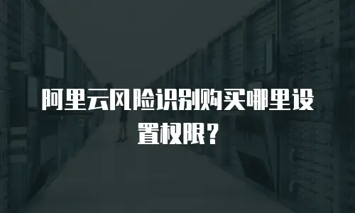 阿里云风险识别购买哪里设置权限？