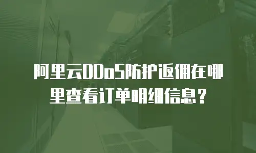 阿里云DDoS防护返佣在哪里查看订单明细信息？