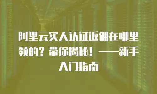 阿里云实人认证返佣在哪里领的？带你揭秘！——新手入门指南