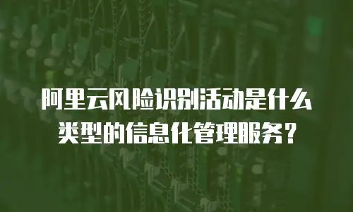 阿里云风险识别活动是什么类型的信息化管理服务？