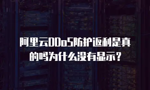 阿里云DDoS防护返利是真的吗为什么没有显示？