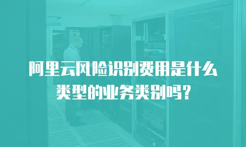 阿里云风险识别费用是什么类型的业务类别吗？