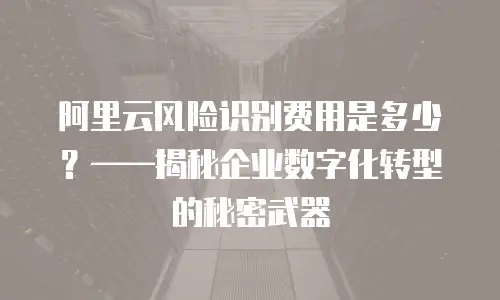 阿里云风险识别费用是多少？——揭秘企业数字化转型的秘密武器