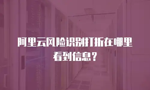阿里云风险识别打折在哪里看到信息？