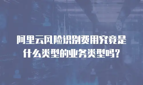阿里云风险识别费用究竟是什么类型的业务类型吗？