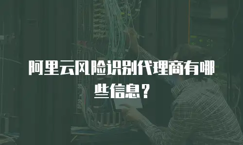 阿里云风险识别代理商有哪些信息？