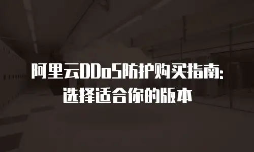 阿里云DDoS防护购买指南:选择适合你的版本