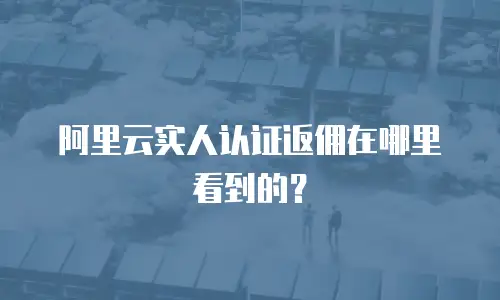 阿里云实人认证返佣在哪里看到的？