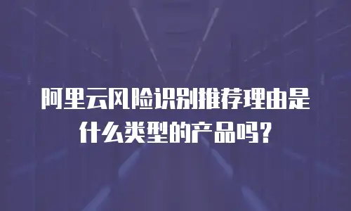 阿里云风险识别推荐理由是什么类型的产品吗？