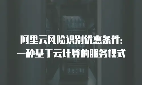 阿里云风险识别优惠条件：一种基于云计算的服务模式