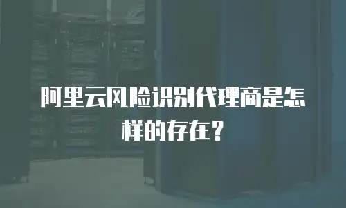 阿里云风险识别代理商是怎样的存在？