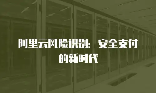阿里云风险识别：安全支付的新时代