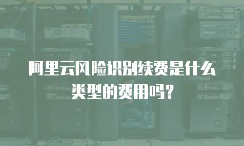 阿里云风险识别续费是什么类型的费用吗？