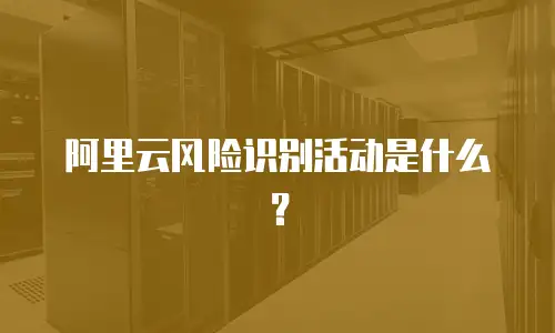 阿里云风险识别活动是什么？