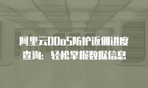 阿里云DDoS防护返佣进度查询：轻松掌握数据信息