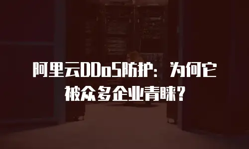 阿里云DDoS防护：为何它被众多企业青睐？