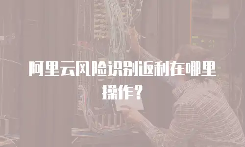 阿里云风险识别返利在哪里操作？