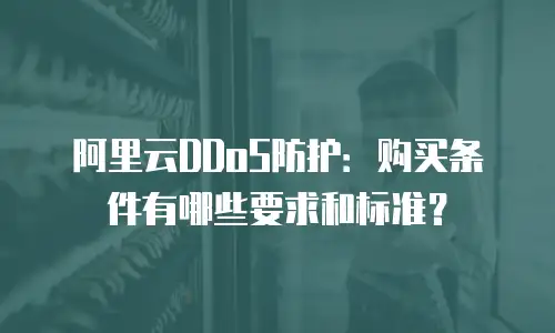 阿里云DDoS防护：购买条件有哪些要求和标准？