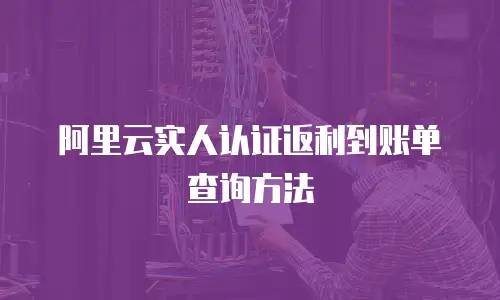 阿里云实人认证返利到账单查询方法