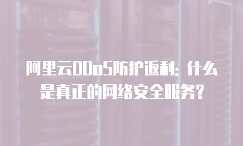阿里云DDoS防护返利: 什么是真正的网络安全服务?