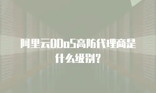 阿里云DDoS高防代理商是什么级别？