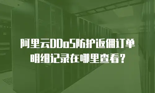 阿里云DDoS防护返佣订单明细记录在哪里查看？