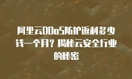 阿里云DDoS防护返利多少钱一个月？揭秘云安全行业的秘密