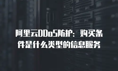 阿里云DDoS防护：购买条件是什么类型的信息服务